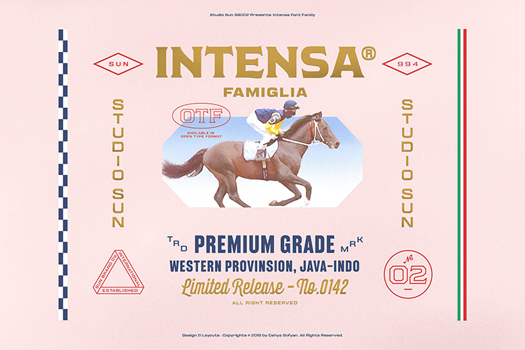 Intensa font family