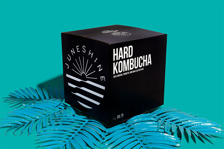 Hard Kombucha mailer box by Juneshine