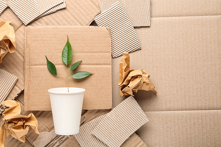 5 Out-of-the-Box Sustainable Packaging Trends in 2019